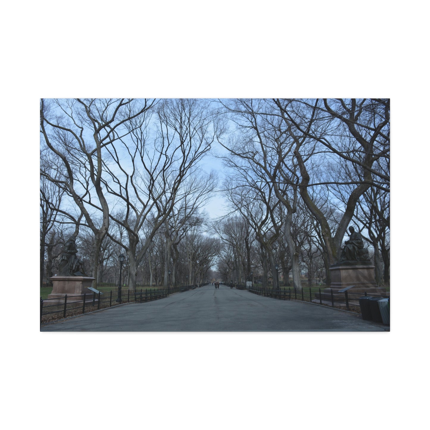 Leafless Tree Lined Path Canvas Stretched | Central Park In Winter Landscape Wall Art
