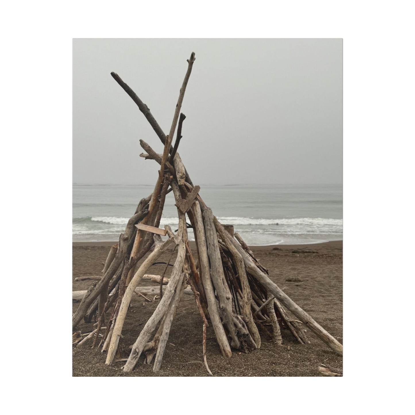 Driftwood Teepee Beach Driftwood Canvas