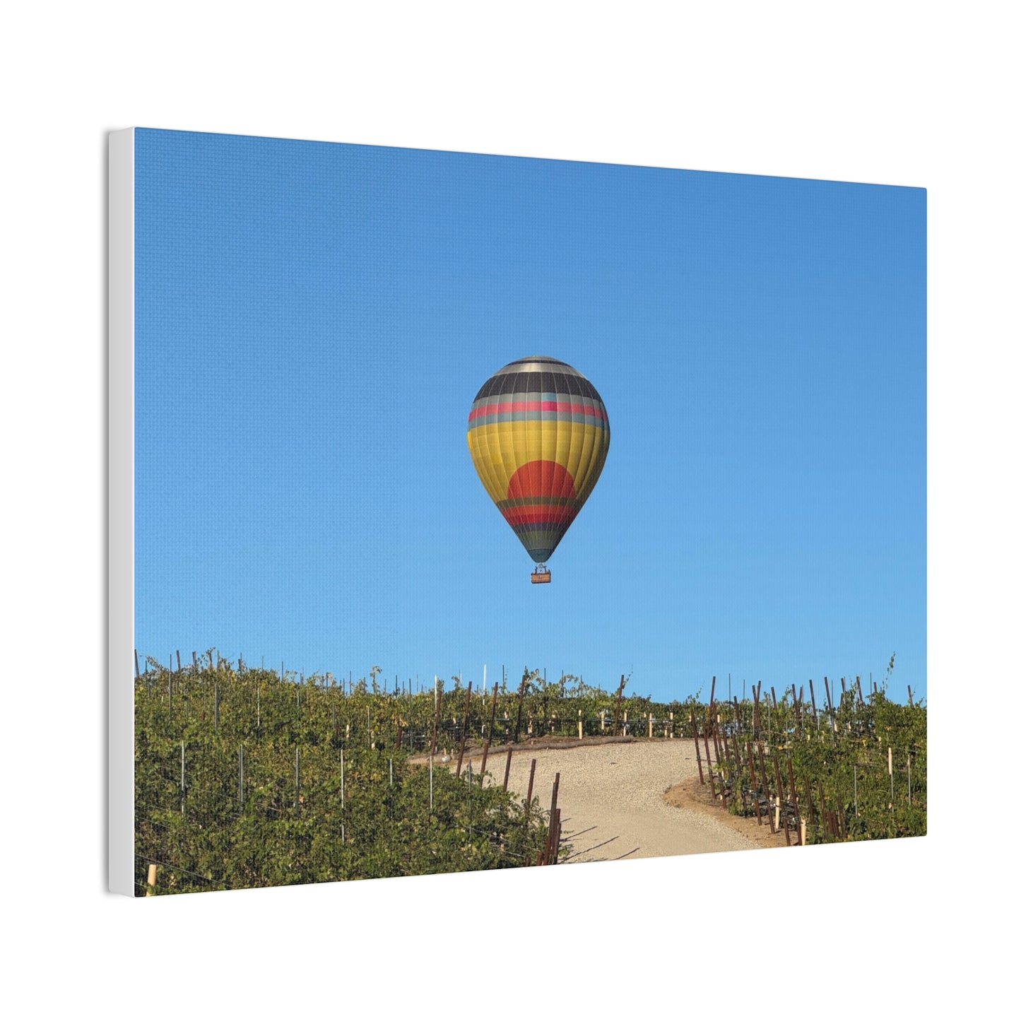 Hot Air Balloon Over Vineyard Canvas