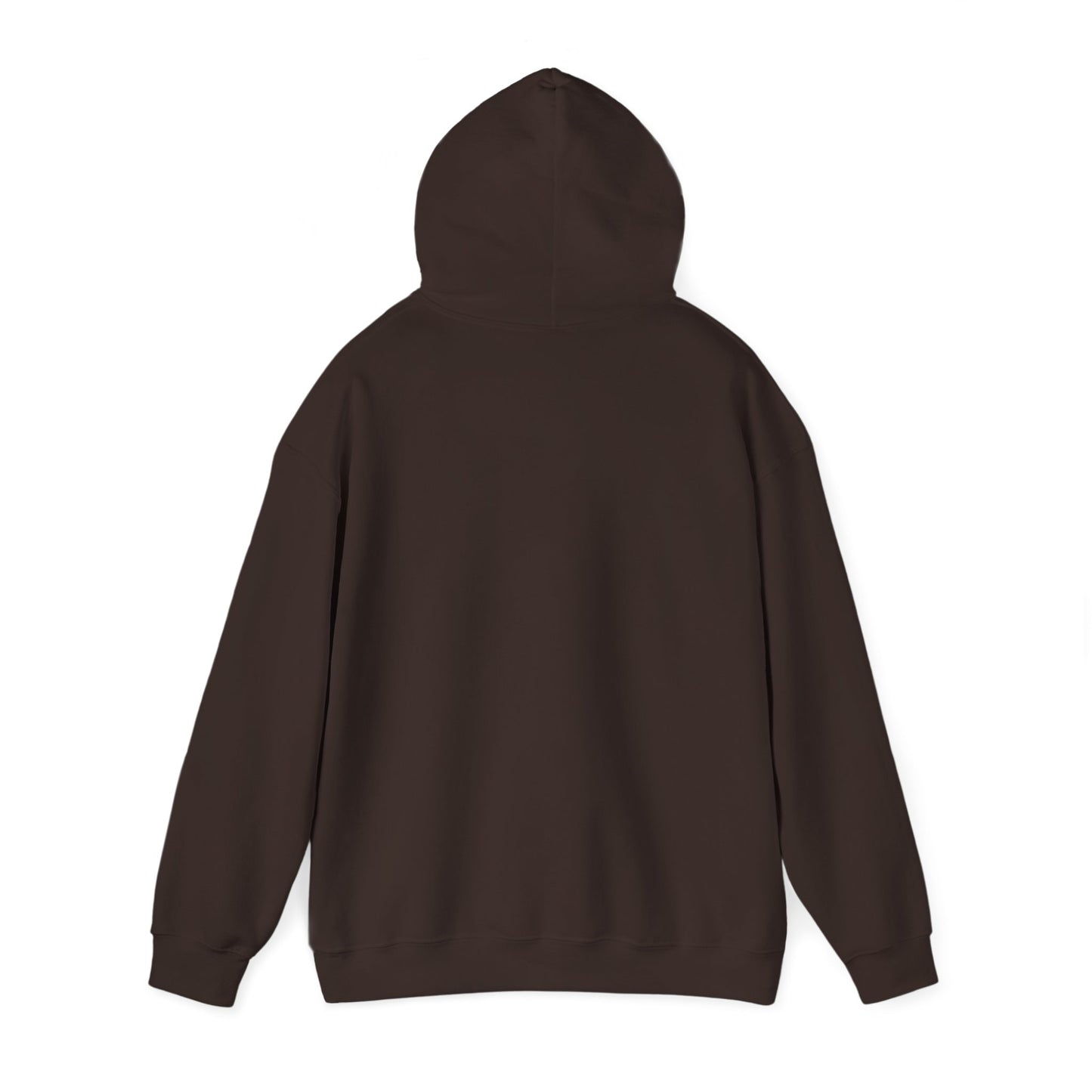 Mandelbrot Nebula Hoodie — Rainbow Fractal Explosion Pullover
