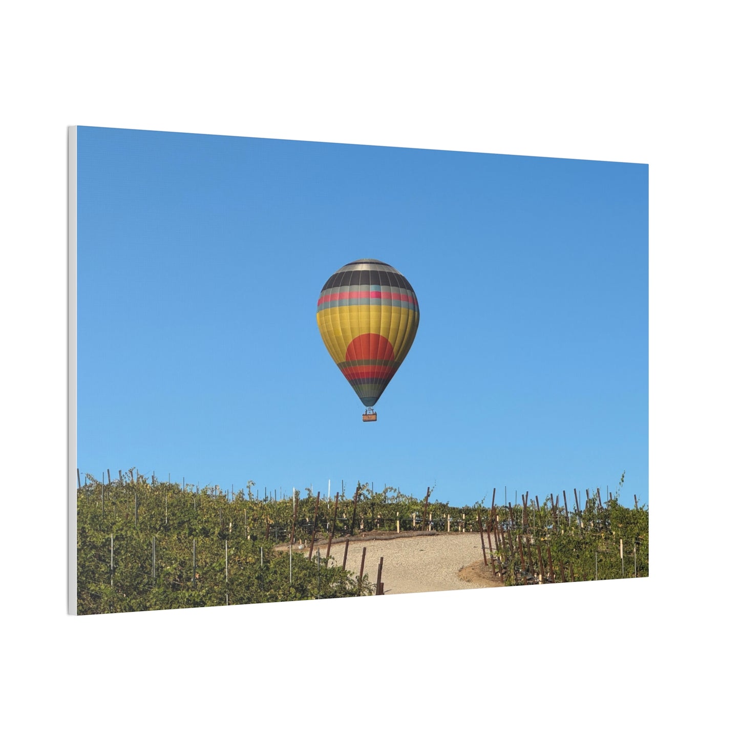Hot Air Balloon Over Vineyard Canvas