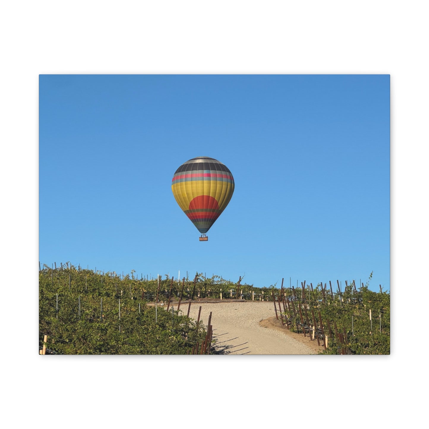 Hot Air Balloon Over Vineyard Canvas